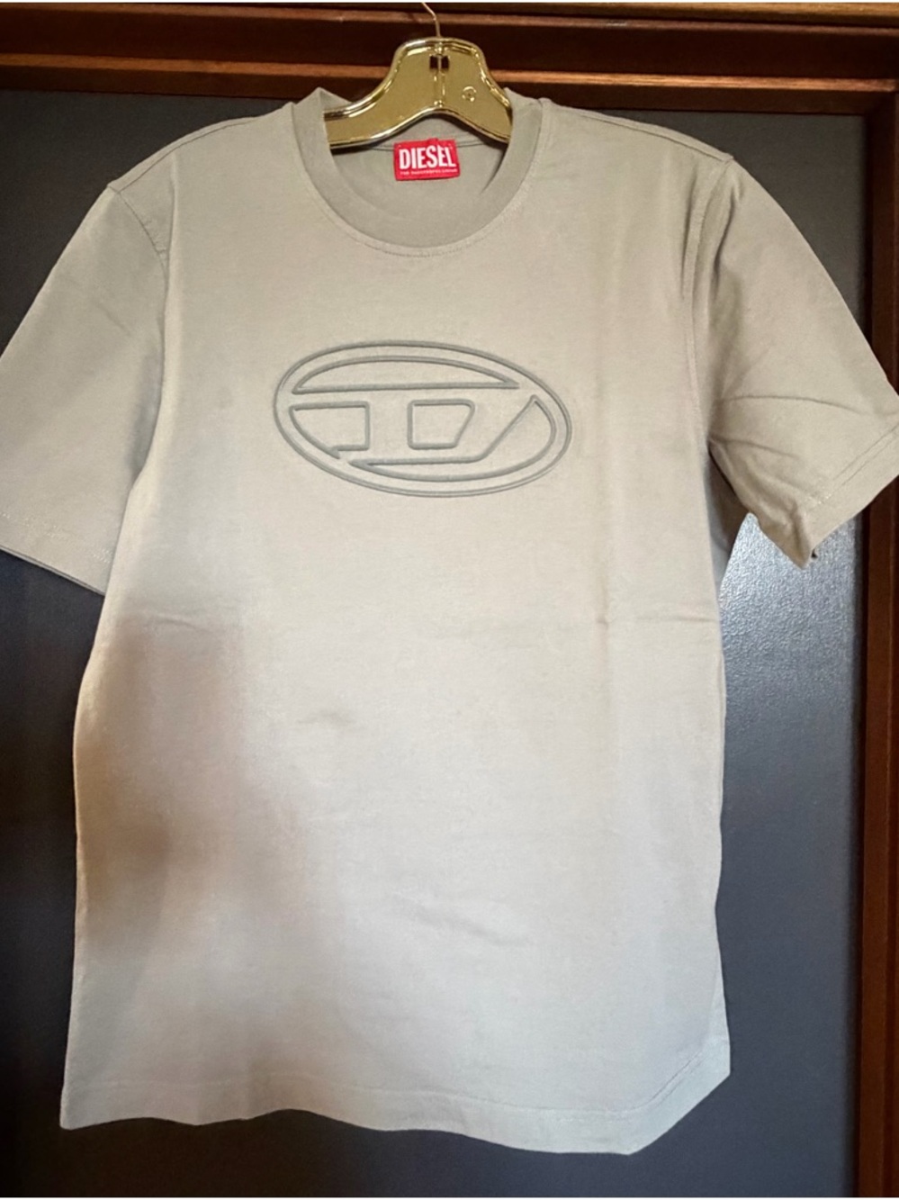 Diesel Short Sleeve Logo Tee in Light Sea Foam Green